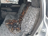 5TDJKRFH4FS****** Salvage and Repairable 2015 Toyota Highlander in Maryland State