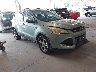 1FMCU0GX9DU****** Salvamento y Destrozados 2013 Ford Escape en Chattanooga