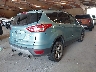 1FMCU0GX9DU****** Salvamento y Destrozados 2013 Ford Escape en Estado de Tennessee