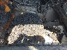 2GTEC19T7X1****** Used and Repairable 1999 GMC New Sierra 1500 in Mississippi State