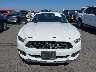 1FA6P8THXH5****** Destrozados 2017 Ford Mustang en Estado de California