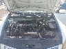 1HGCP26399A****** Repairable 2009 Honda Accord in Nashville