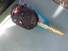 1FADP3F2XGL****** Salvamento 2016 Ford Focus en Estado de Tennessee