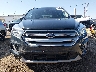 1FMCU9J94KU****** Wrecked 2019 Ford Escape in Indiana State