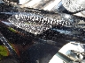 1HD1FR4149Y****** Repairable 2009 Harley-Davidson Road King Classic in Rec Rides Online Exclusive