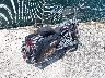1HD1FR4149Y****** Salvage and Wrecked 2009 Harley-Davidson Road King Classic in Kentucky State