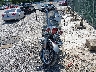 1HD1FR4149Y****** Used and Repairable 2009 Harley-Davidson Road King Classic in Kentucky State