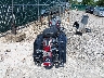 1HD1FR4149Y****** Salvage and Repairable 2009 Harley-Davidson Road King Classic in Kentucky State