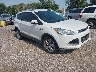 1FMCU0J9XEU****** Salvamento y Destrozados 2014 Ford Escape en Omaha