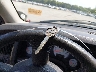 1D7HU18N65J****** Salvamento 2005 Dodge Ram 1500 en Estado de Ohio