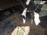 3TMCZ5AN3PM****** Salvamento 2023 Toyota Tacoma en Estado de Pennsylvania