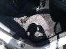 WVWDB7AJ0EW****** Used and Repairable 2014 Volkswagen Golf in Colorado State
