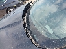 SAJWJ0EF9E8****** Repairable 2014 Jaguar XF in Kentucky State