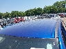 1C6SRFFT6KN****** Reparables 2019 RAM 1500