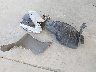 1N4AL3AP6FN****** Wrecked 2015 Nissan Altima in Washington State