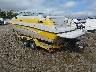 JTC4628***** Salvamento y Reparables 2002 Crownline Other en Nashville