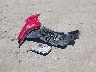 KMHCU4AE0EU****** Wrecked 2014 Hyundai Accent in California State