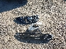 5N1AT2MT6HC****** Destrozados 2017 Nissan Rogue en Estado de Maryland
