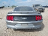 1FA6P8CF1L5****** Destrozados 2020 Ford Mustang