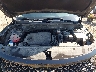 5XYRLDLC3PG****** Repairable 2023 Kia Sorento in Columbus