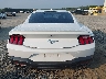 1FA6P8TH7R5****** Destrozados 2024 Ford Mustang