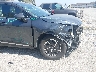 KNDPUCAG0P7****** Salvamento y Reparables 2023 Kia Sportage en Estado de California