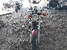 JH2MC13067K****** Usados y Reparables 2007 Honda Rebel 250 en Estado de Michigan