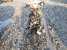 L5YACBAL9R1****** Salvage and Repairable 2024 Znen R8, Blaze, Valkyrie in Florida State