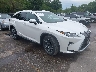 2T2BZMCA2KC****** Salvage and Wrecked 2019 Lexus RX 350 in Kansas City