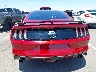 1FA6P8CF4H5****** Destrozados 2017 Ford Mustang