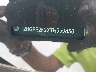 2HGFE2F2XTH****** Used 2026 Honda Civic