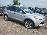 1FMCU9J9XFU****** Salvamento y Destrozados 2015 Ford Escape en Detroit