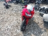 JKAEXMJ1X9D****** Used and Repairable 2009 Kawasaki Ninja 250R in Indiana State