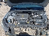 5NPD84LF8HH****** Repairable 2017 Hyundai Elantra in Corpus Christi