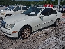 WDBUF56X97B****** Used and Repairable 2007 Mercedes-Benz E-Class in Mobile