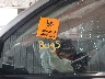 JF2SH63619H****** Used and Repairable 2009 Subaru Forester in Anchorage