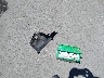 JTEGF21A330****** Wrecked 2003 Toyota Highlander in California State