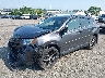 JTMJFREV0GJ****** Used and Repairable 2016 Toyota RAV4 in Philadelphia