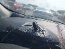 1FMCU0G70FU****** Salvage 2015 Ford Escape in Iowa State