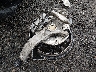 5YJ3E1EAXLF****** Salvage 2020 Tesla Model 3 in Massachusetts State