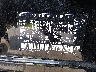 3HDSA1H32SM****** Used 2025 Acura ADX in Miami North