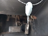 1B3EL46X06N****** Salvamento 2006 Dodge Stratus en Estado de Texas