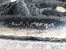 LCELE1Z16TM****** Used 2026 CF Moto Zforce in Rec Rides Online Exclusive