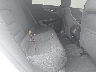 1G1ZG5ST5LF****** Wrecked 2020 Chevrolet Malibu in Clearwater