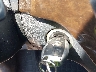 4JGDF6EE1FA****** Salvage 2015 Mercedes-Benz Gl 450 in North Carolina State