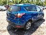 1FMCU9GD6HU****** Salvamento y Destrozados 2017 Ford Escape en Estado de Ohio