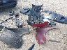 2GNAXKEV9M6****** Wrecked 2021 Chevrolet Equinox in Ohio State