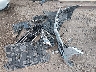 W1K6G7GB8NA****** Destrozados 2022 Mercedes-Benz S-Class en Estado de Arizona