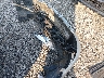 2G1WG5E32C1****** Wrecked 2012 Chevrolet Impala in South Carolina State