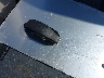 5YJSA1H11FF****** Salvage 2015 Tesla Model S in California State